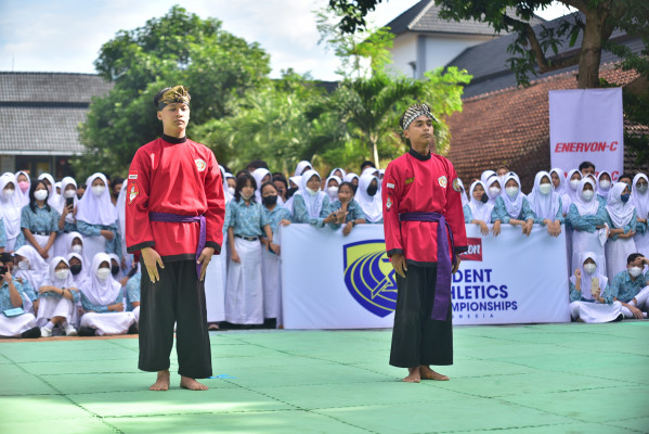 Image description
